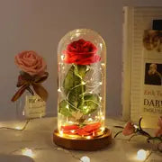 Beauty and The Beast Rose, Mothers Day Rose Gifts for Women, Birthday Gifts for Mom, Light Up Rose in Glass Dome, Eternal Rose Flower Gifts for Mum, Mother's Day Rose Gift Ideas for Wife