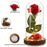 Beauty and The Beast Rose, Mothers Day Rose Gifts for Women, Birthday Gifts for Mom, Light Up Rose in Glass Dome, Eternal Rose Flower Gifts for Mum, Mother's Day Rose Gift Ideas for Wife