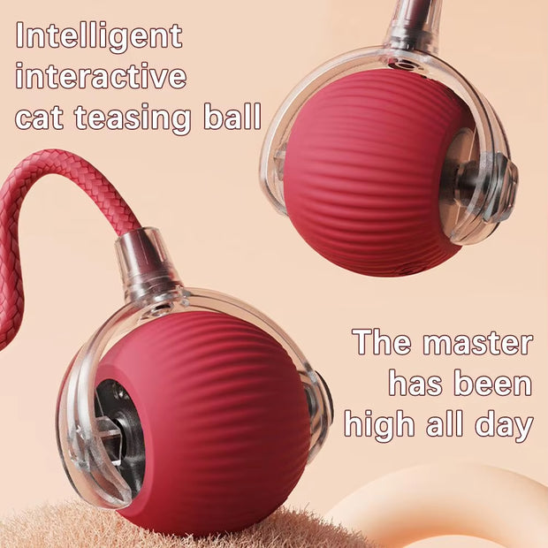 Smart Electric Cat Rolling Ball Toys Automatic Rolling Ball Faux Tail Rechargeable Smart Pet Interactive Playing Toy