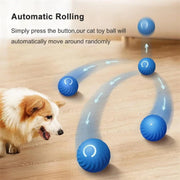 JELIEPET Automatic Rolling Cat Ball Toy Smart Kitten Electric Toy Self Moving Dog Training Pet Kitten Interactive Toy for Indoor Playing