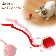 Interactive Cat Toy Ball Super Drive Cat Rolling Balls with Bird Chirping Motion Activated Sensor Pet Kitten Teaser Game Toys